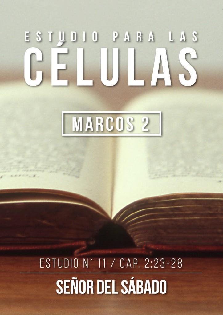 Estudio 11 Cap. 2:23-28