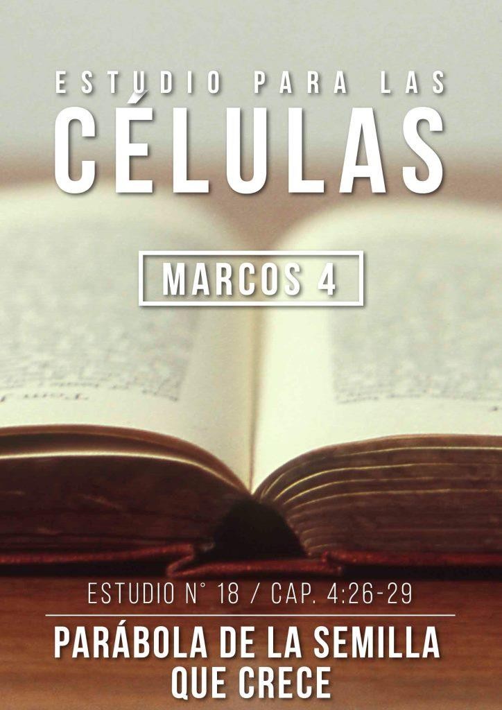 Estudio 18 Cap. 4:26-29