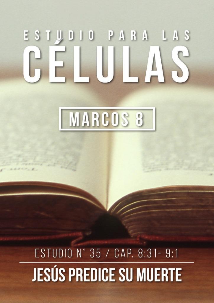 Estudio 35 Cap. 8:31-9:1