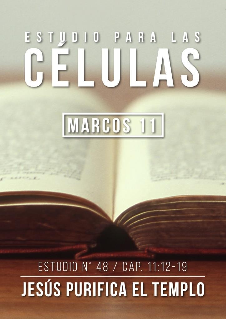 Estudio 48 Cap. 11:12-19