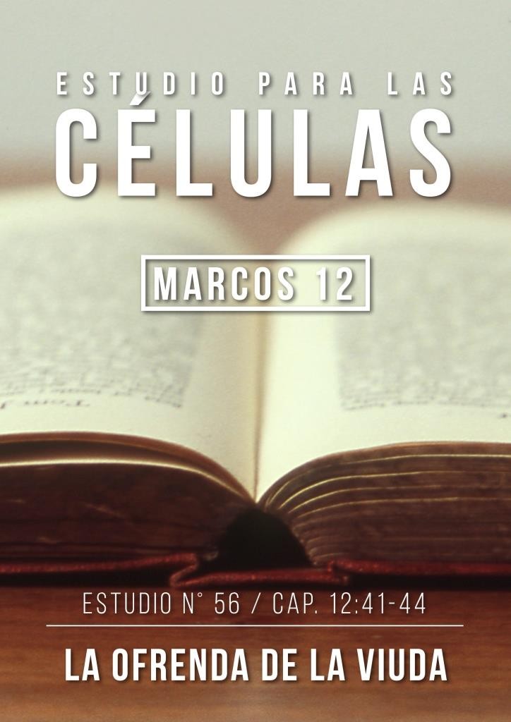 Estudio56 Cap.12:41-44