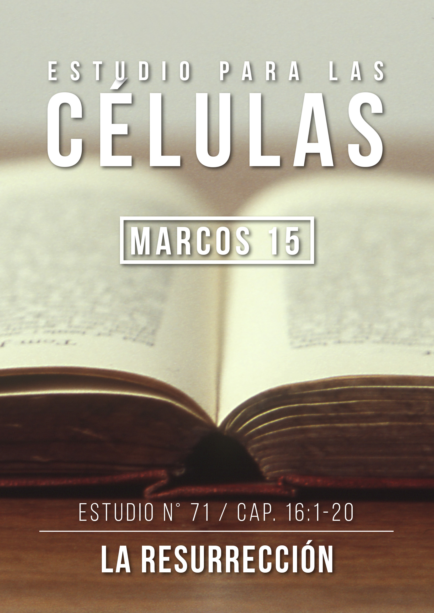 Estudio 71 Cap.16:1-20