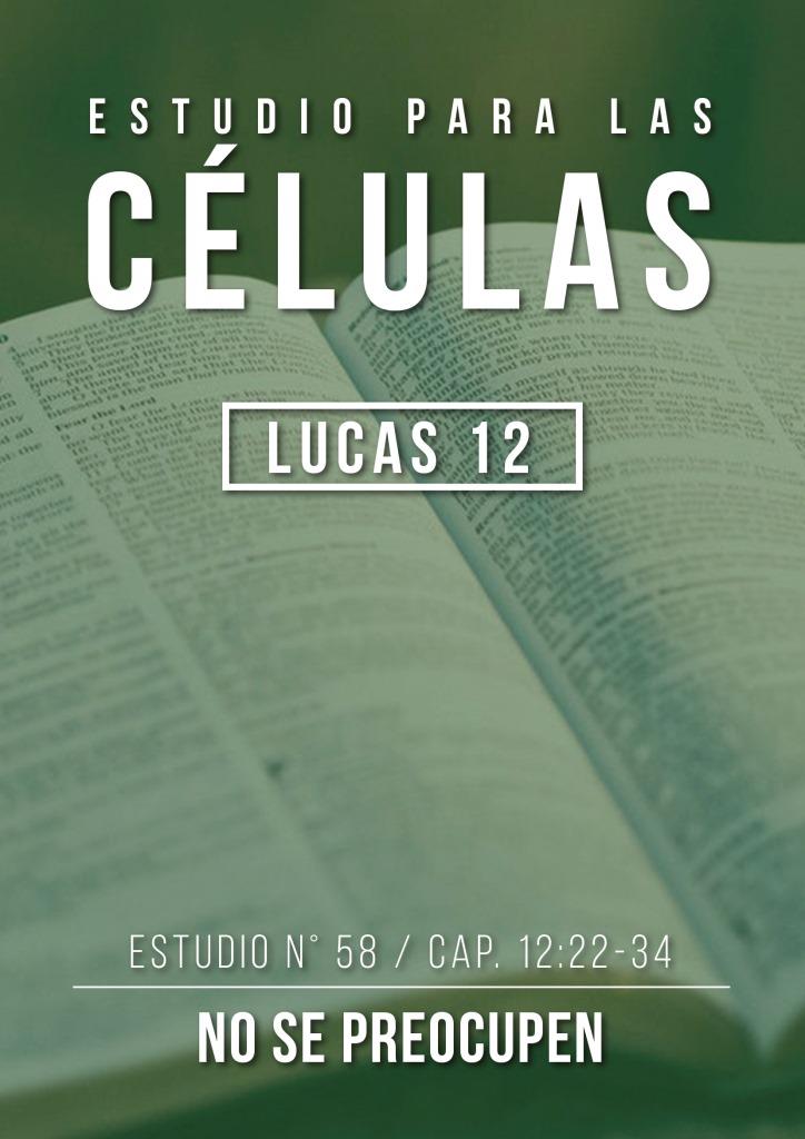 Estudio 58 Cap.12:22-34