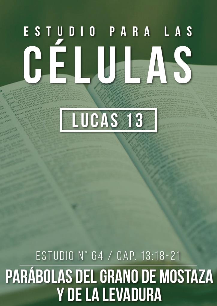 Estudio 64 Cap.13:18-21