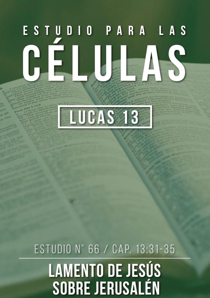 Estudio 66 Cap.13:31-35