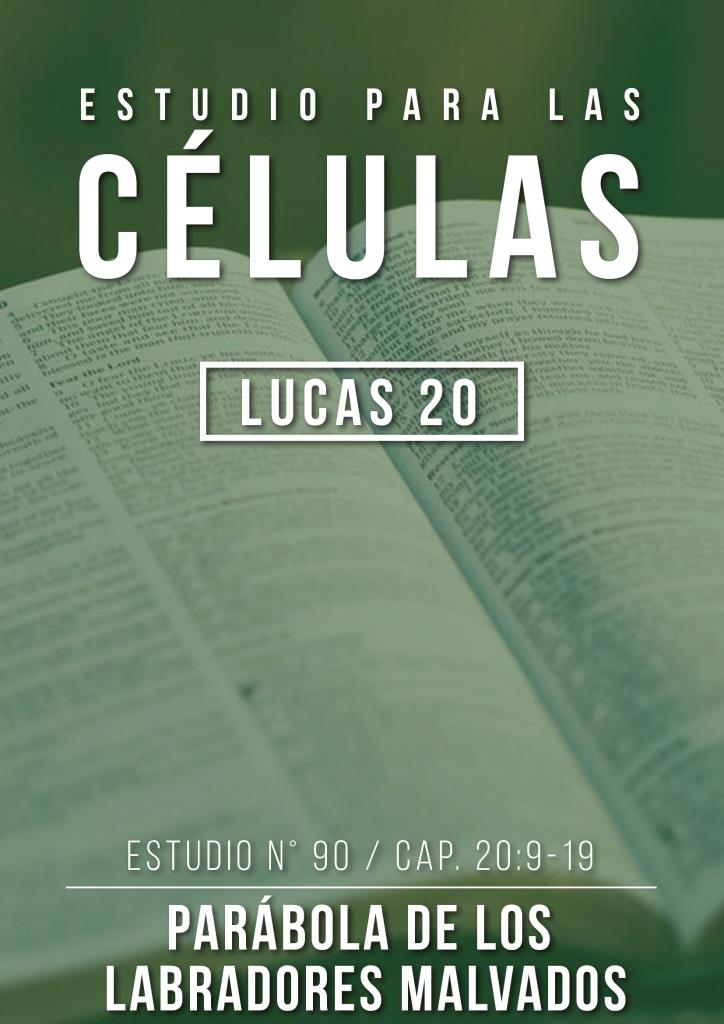 Estudio 90 Cap. 20:9-19