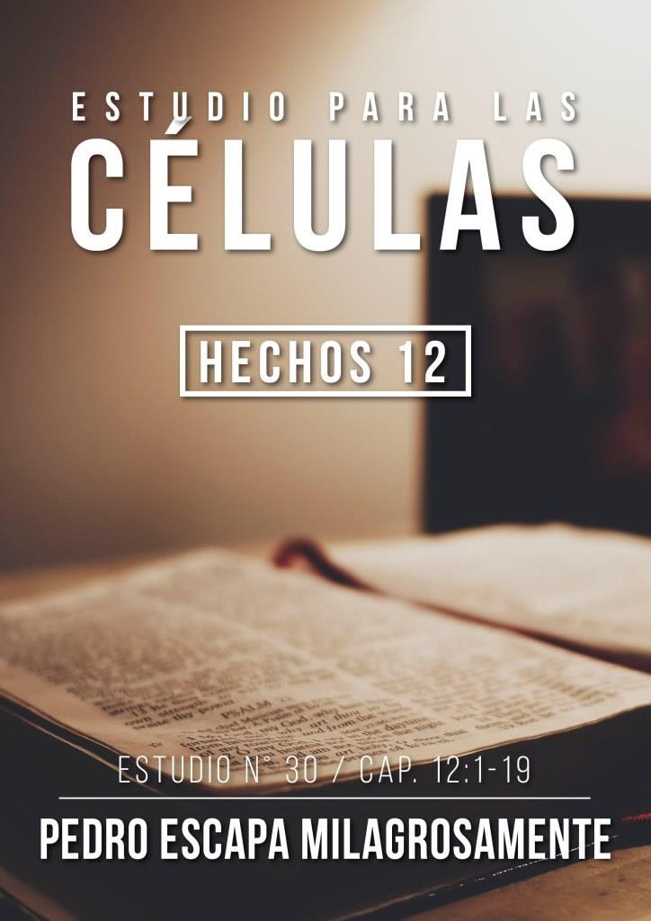 Estudio 30 Cap. 12:1-19