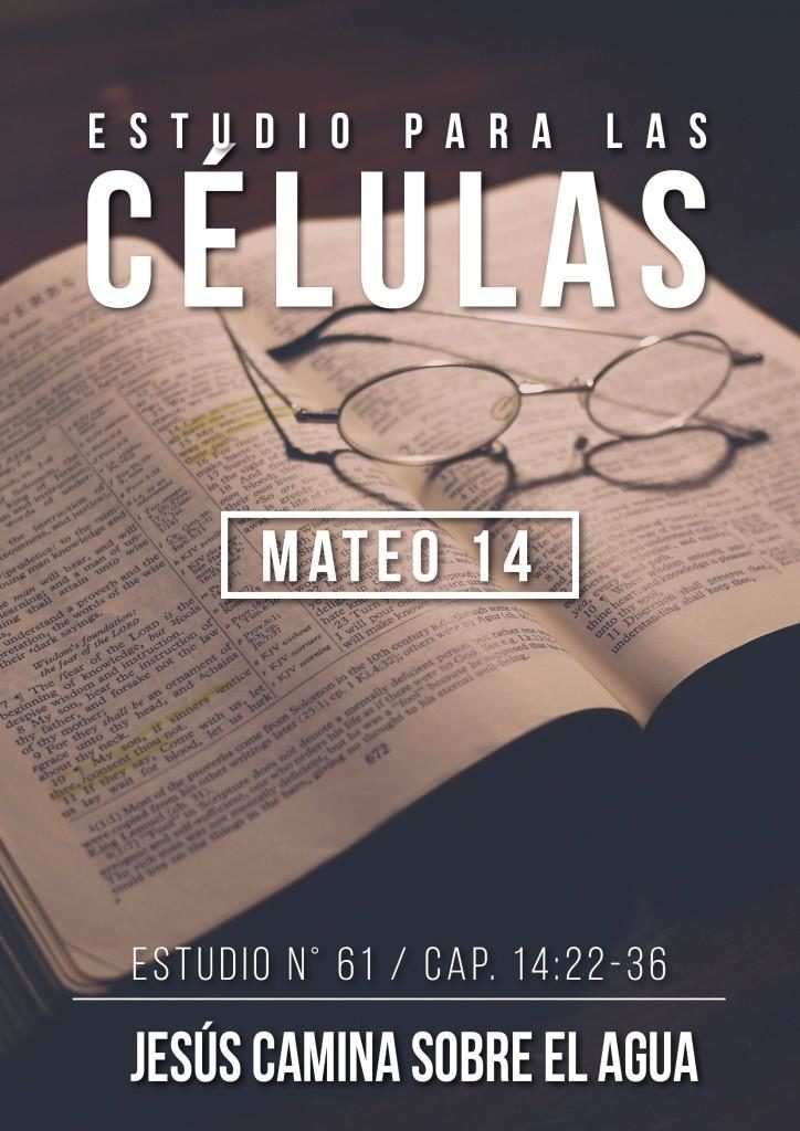 Estudio 61 Capítulo 14:22-36