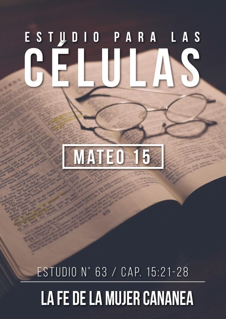 Estudio 63 Capítulo 15:21-28