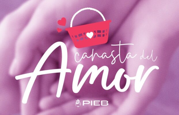 INFOPIEB 16 NOVIEMBRE 2025